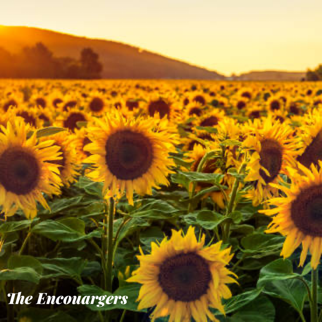 Cottonwood Creek Church - The Encouragers - Bufkin/Sanderson/Howe